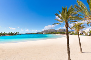 Strand mit Palmen