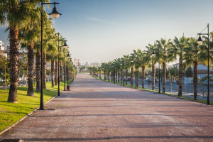 Palmenallee in Torremolinos (Costa del Sol) - Málaga - Andalusien